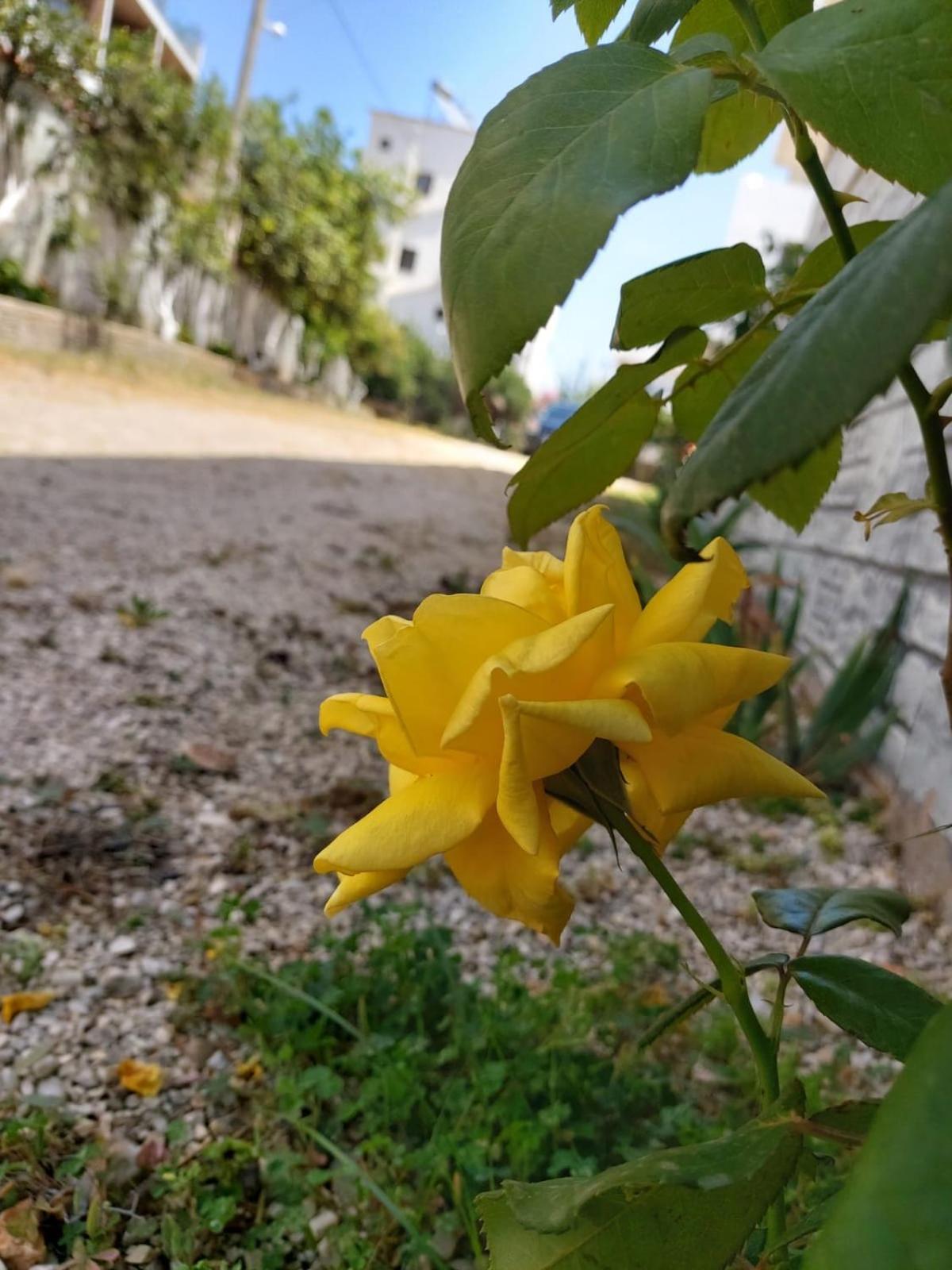 Vila Era Ksamil Dış mekan fotoğraf